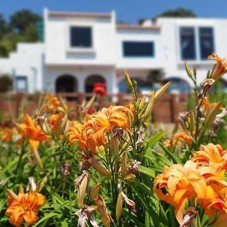 La Casa Te Puru Lodge Екстериор снимка